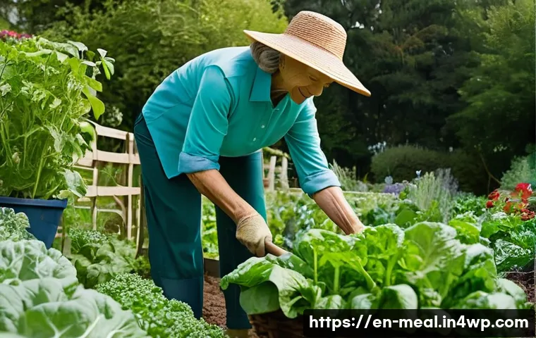 Eat Like a Centenarian: Your Personalized Guide to Senior Nutrition 4 장수 지역의 고령자 식단 맞춤 전략 관련 이미지 2
