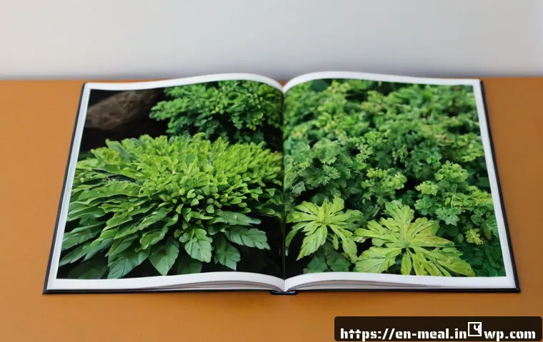 How Climate Change Could Reshape Diets Linked to Healthy Aging: A Practical Food-Choice Guide 4 장수 지역의 식단과 기후 변화의 영향 관련 이미지 2